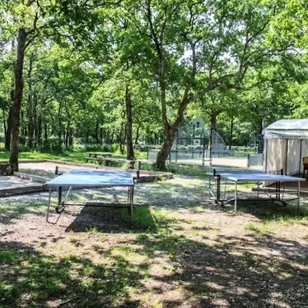 Campsite Mobil-home Confortable Avec Terrasse A - Api-1-52-230 Royan