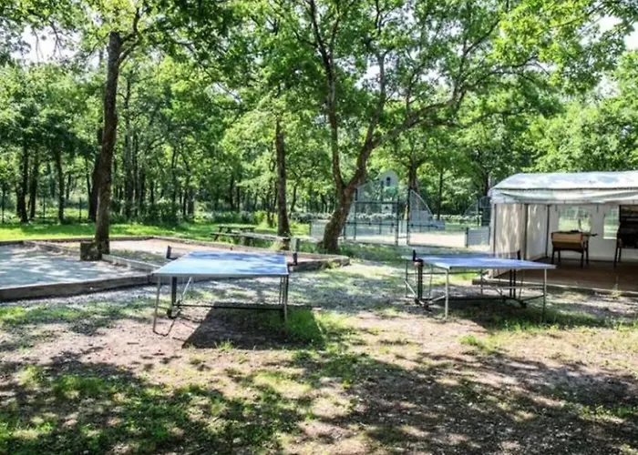 Campsite Mobil-home Confortable Avec Terrasse A - Api-1-52-230 Royan